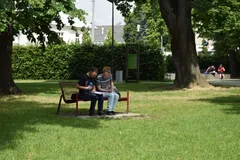 Luštěniny VI. - 31