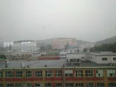 Luštěniny II. - 14