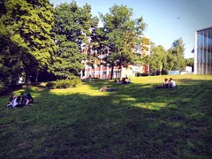 Luštěniny IV. - 22