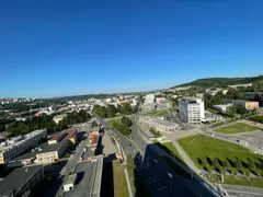Luštěniny V. - 24