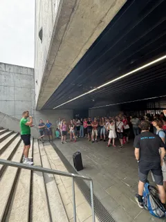 Luštěniny VIII. - 50