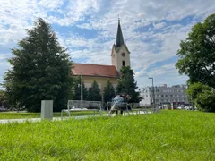 Luštěniny VI. - 103
