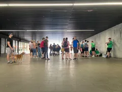 Luštěniny VIII. - 78